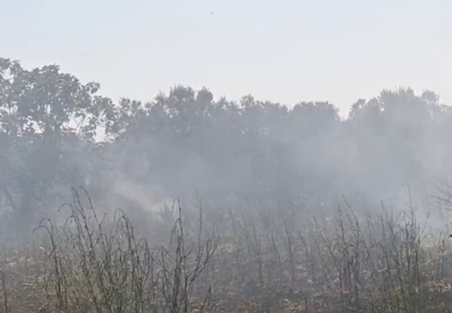 Zjarri djeg dhjetëra dynymë agrume dhe ullishte në