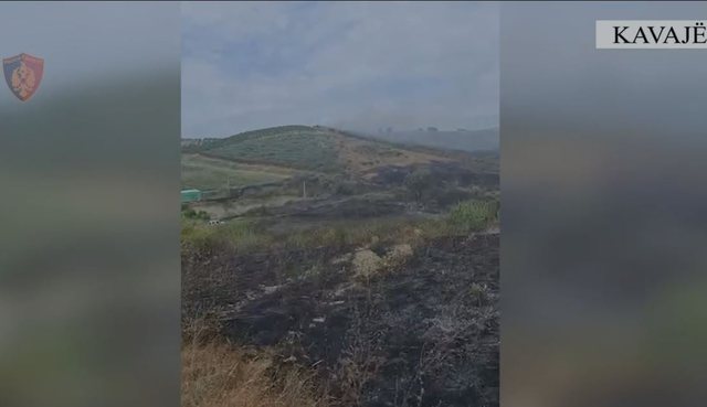 Dogji 10 hektarë tokë arë, identifikohet dhe procedohet autori i