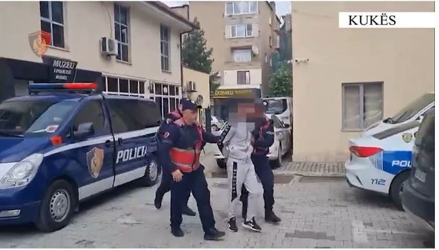 Tentoi të vriste kushëririn në bashkëpunim me