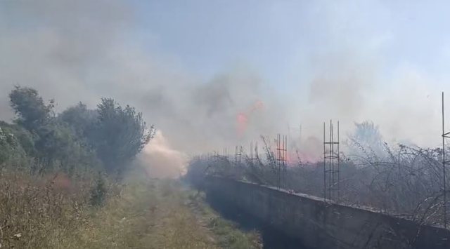 Zjarr i fuqishëm në Lushnjë, digjen disa toka dhe një