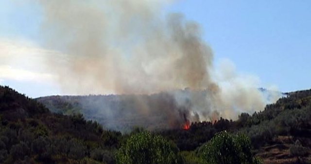 Situata e zjarreve, Ministria e Mbrojtjes: 24 vatra në mbarë vendin, 6