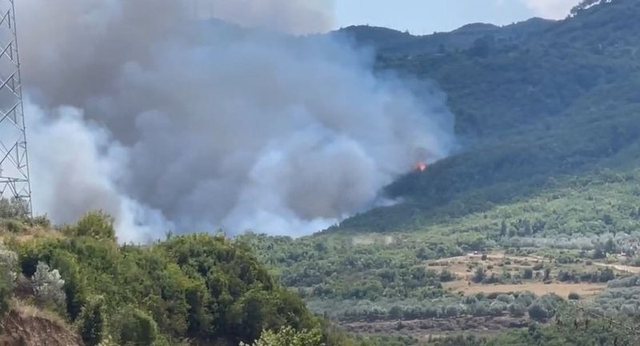 Zjarri në pyjet e Beratit rrezikon edhe banesat