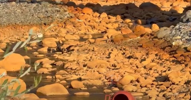 Krim mjedisor në Fushë Arrëz/ Kompania shkarkon mbetjet