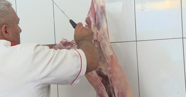 Në vend s’ka më bagëti, vitin e shkuar u importua 84
