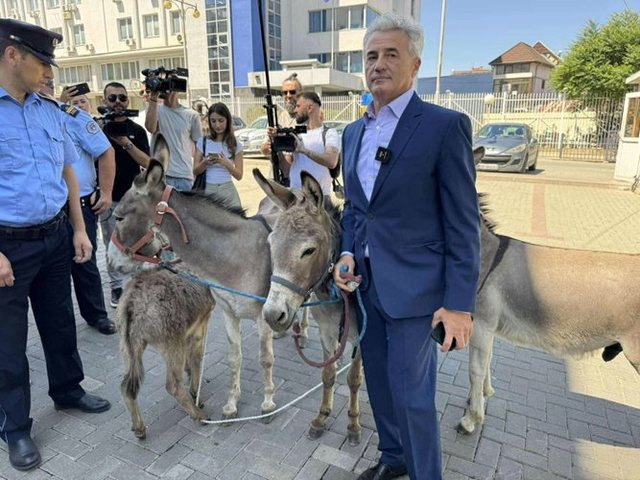 FOTOT/ Ngërçi, avokati sjell në Kuvend 4 gomerë: