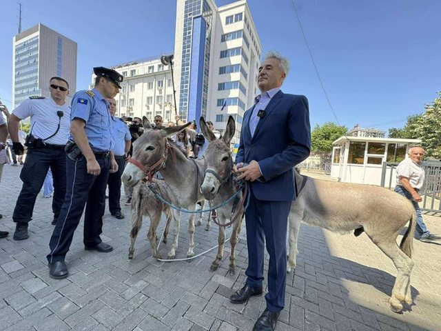 FOTOT/ Ngërçi, avokati sjell në Kuvend 4 gomerë: