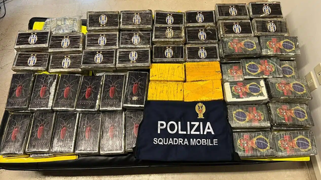 Operacioni/ 172 kilogramë kokainë me logon e “Kf Tirana”,