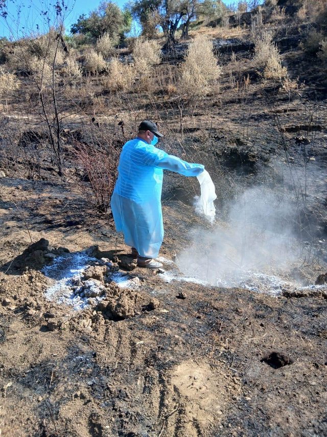 Vijon pastrimi i territorit në Delvinë pas zjarreve, groposen