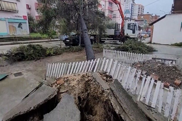 Stuhi në Lushnjë! Disa fshatra pa energji, era rrëzon pemë
