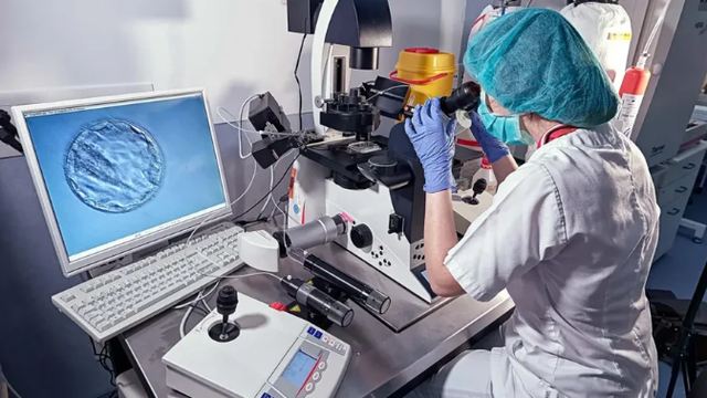 Skandali/ E kanë përdorur edhe klinika fertiliteti në