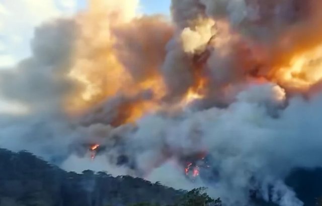VIDEO/ Greqia në flakë, autoritetet ngrenë alarmin, evakuohen 5