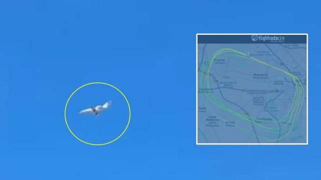 “Mister në ajër”/ Avioni me pasagjerë u nis nga Nishi