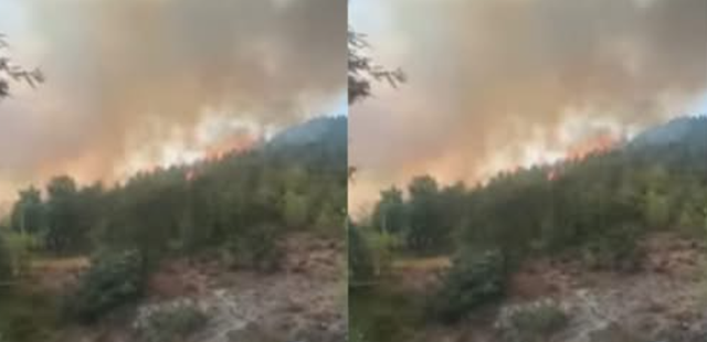 Zjarri përfshin Shkopetin, digjen dy banesa, banorët
