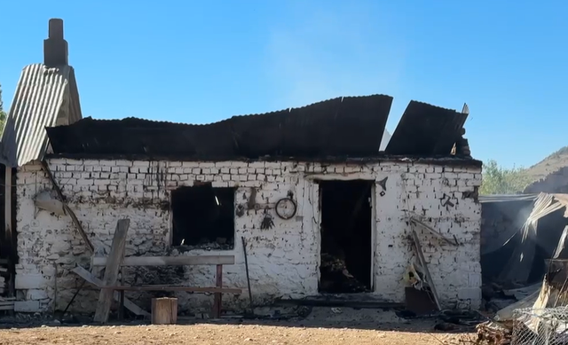 FOTO/ Ngjarja e rëndë: Shkrumbohet stalla me 170 dele në