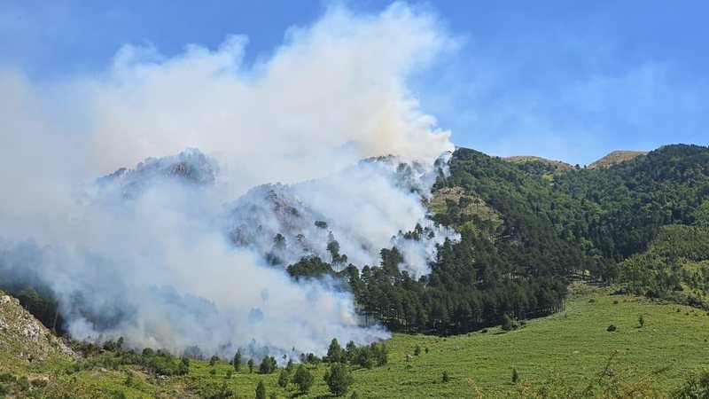 Alarm në Dukat, zjarri rrezikon edhe Parkun Kombëtar të