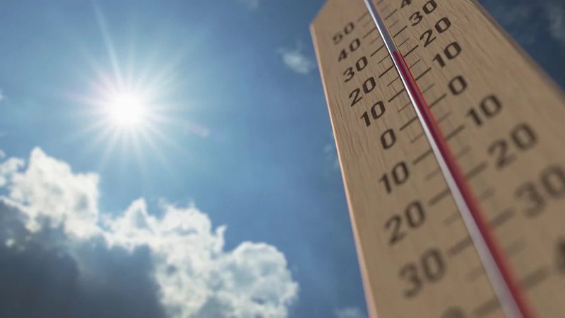 Vera m&euml; e fresk&euml;t e s&euml; ardhmes/ Shqip&euml;ria ngre 100 pika